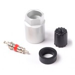 TPMS Parts Kit (Volvo)