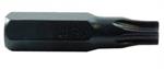 Tamper Proof Bit T-20