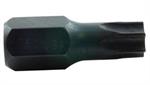Tamper Proof Bit T-40