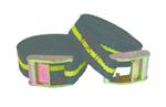 Tie Down Cam Buckle 1in x 13ft