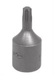 Torq Bit 1/4 Drive T-15