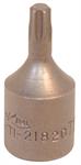 Torq Bit 1/4 Drive T-20