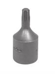 Torq Bit 1/4 Drive T-25