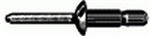 AV SS Ultra Grip Rivet H/S SS 10PC