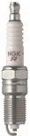NGK Spark Plug (TR5)
