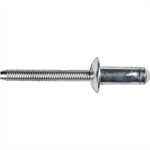 Ford Specialty Rivet 10pc