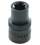Socket-External Torq E-10 3/8in