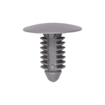 Kia Retainer 25pc