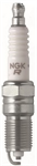 NGK Spark Plug (TR55)