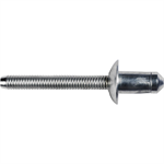 Ford Specialty Rivet 10pc